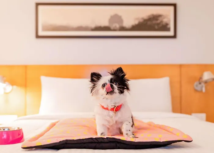 Hotel: ibis Recife Aeroporto