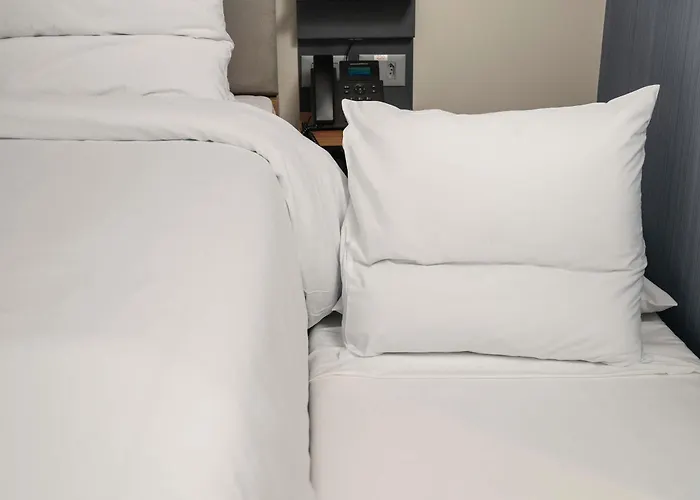 Hotel central: Novotel Recife Marina